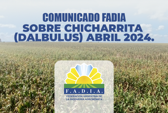 COMUNICADO DE FADIA SOBRE CHICHARRITA (DALBULUS) ABRIL 2024.
