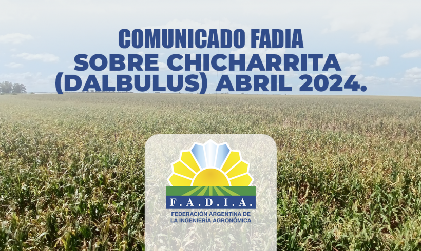 COMUNICADO DE FADIA SOBRE CHICHARRITA (DALBULUS) ABRIL 2024.