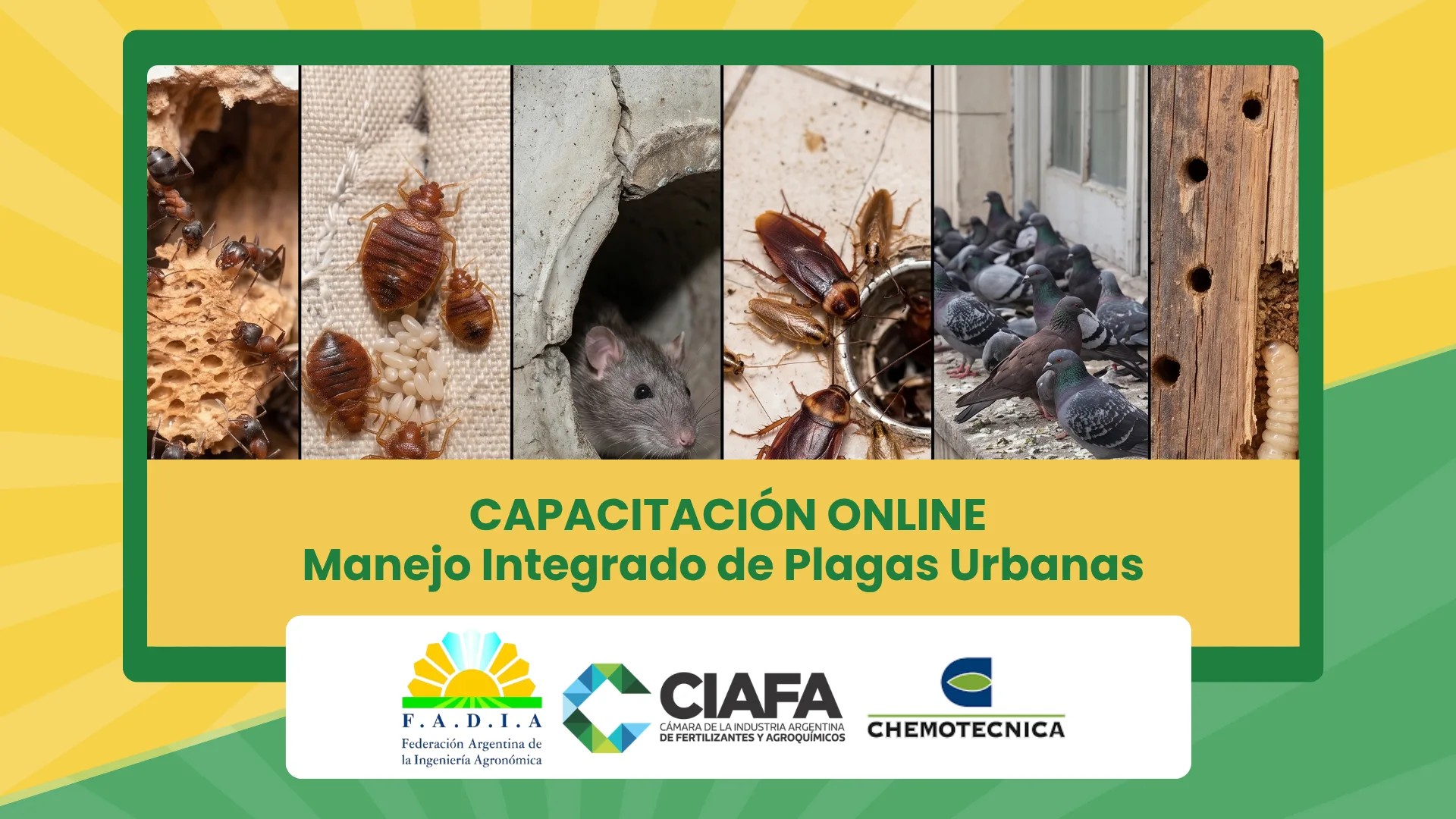 CAPACITACIÓN Manejo Integrado de Plagas Urbanas (1)